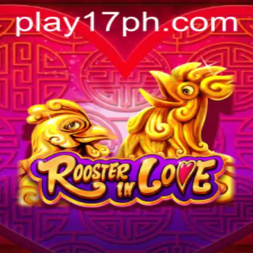 RoosterInLove: An Engaging Game Experience